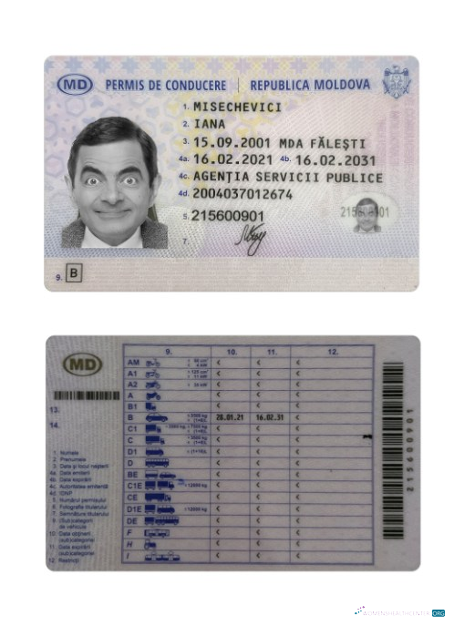 download Moldova driving license 2021 present